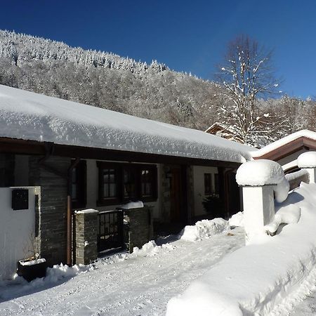 Haus Zur Eule Διαμέρισμα Todtnau Δωμάτιο φωτογραφία